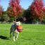Chuckit Kick Fetch