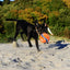 Chuckit Kick Fetch