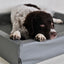 Bia Bed Hondenmand Original Grijs