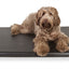 Bia Bed Matras Ligbed Zwart