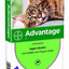Bayer Advantage Kat