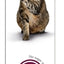 Gimcat Malt-Soft Haarbalpasta Extra