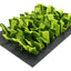Rosewood Snuffelmat Knaagdier Zwart / Groen