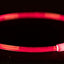 Trixie Lichtgevende Halsband Usb Flash Light Oplaadbaar Tpu Rood