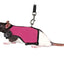 Trixie Softtuig Met Riem Voor Ratten Assorti