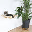 Trixie Hangmat Voor Aan De Muur Beige