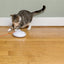 Petsafe Zip
