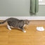 Petsafe Zip