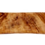 Dog Woodzzz Olijfbot