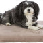 Trixie Vital Ligmat Lonni Orthopedisch Lichtbruin