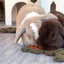 Naturals Rosewood Naturals Carrot 'N' Forage Bunny