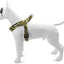 Morso Mini Hondentuig Verstelbaar Gerecycled Full Metal Dog Bruin