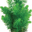 Zolux Ornament Pastic Plant Op Stenen Neutraal Assorti
