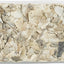 Trixie Piksteen Met Schelpen Mineralen En Mosselen