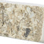 Trixie Piksteen Met Schelpen Mineralen En Mosselen