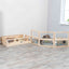 Trixie Indoor Ren Cavia Met 4 Elementen