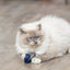 Trixie Zeedier Pluche Met Catnip Assorti
