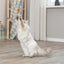 Trixie Kattenhengel Vis Kunststof / Pluche