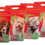 Energique Nr 2 Puppy