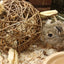 Nature First Happy Pet Speelbal Wilg Nature First