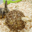 Nature First Happy Pet Speelbal Wilg Nature First