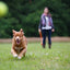 Happy Pet Fling N Fetch Werpstok Assorti
