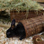 Happy Pet Wilgen Tunnel