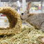 Happy Pet Grassy Tunnel