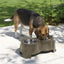 Savic Voerbak Ergo Feeder Warmgrijs