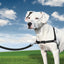 Petsafe Easy Walk Anti-Trek Tuig Zwart