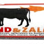 Excellent Vers Rund/Zalm